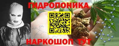 стаф Ипатово