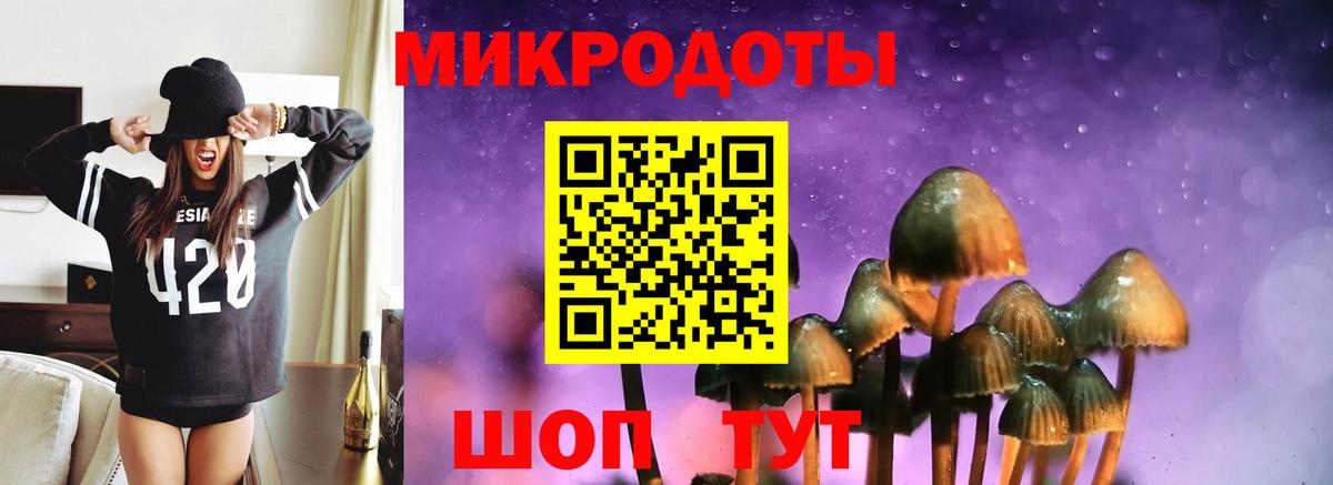 Псилоцибиновые грибы Cubensis Лыткарино